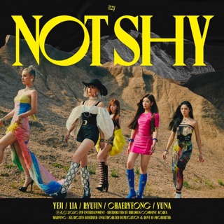 Cover of Not Shy