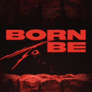 Cover of Untouchable