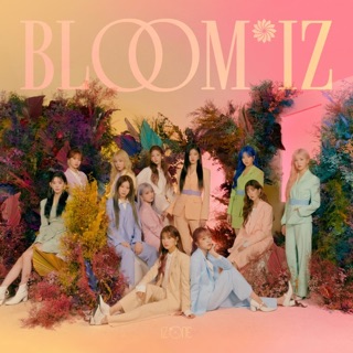 Cover of Fiesta