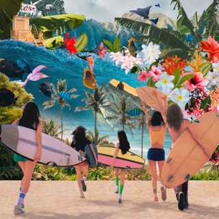 Cover of Surfin' Boy