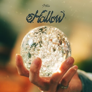 Cover of Hollow