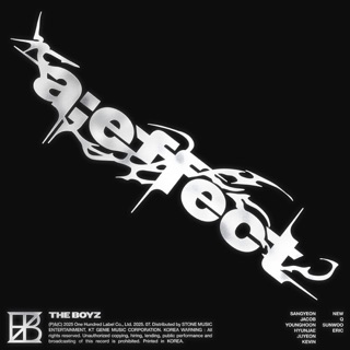 Cover of Stylish